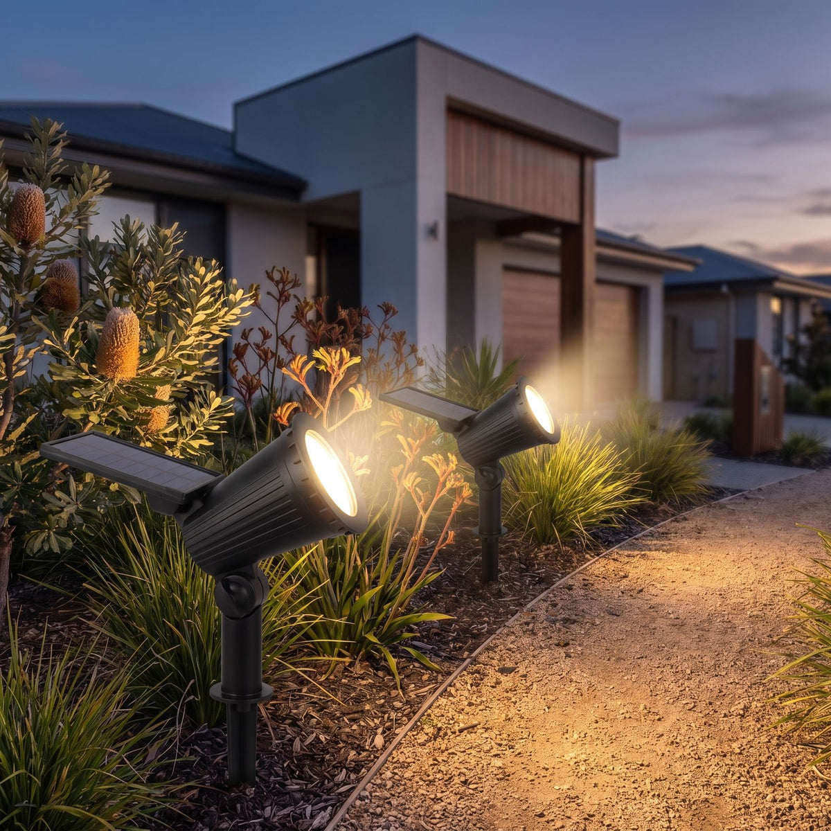 Solar spotlight garden light along a garden path