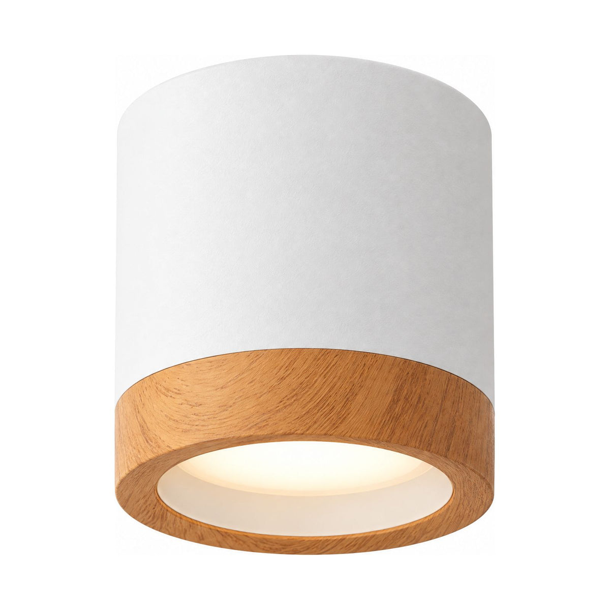 Aluminium Cylinder LED Spotlight Ceiling Light on a white background