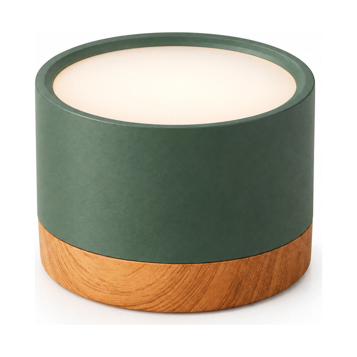 Aluminium Cylinder LED Spotlight Ceiling Light in green on a white background