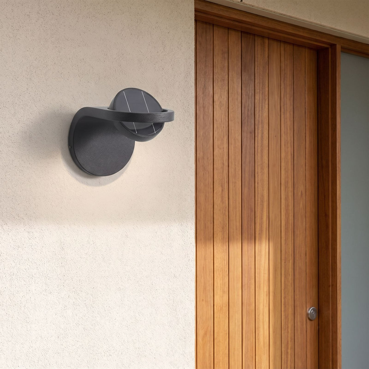 Arched Metal and Acrylic Outdoor Wall Light beside a timber front door