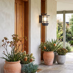 Black Iron and Frosted Glass Outdoor Wall Lantern beside a timber front door