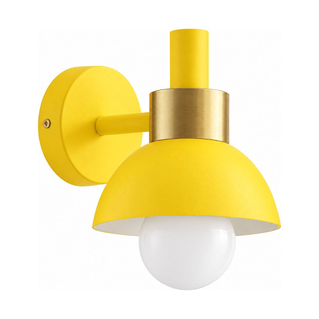 Coloured Matte Iron Cylinder Wall Light on a white background