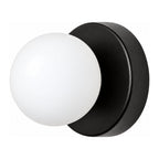 Compact Rounded Glass and Iron Wall Light on a white background