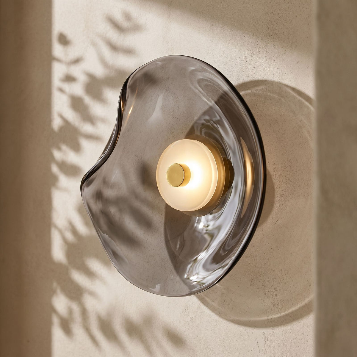 Curved Smoke Glass Up Down Wall Light on a plaster wall, angled close view