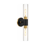 Double Bulb Clear Glass Tube Wall Light on a white background