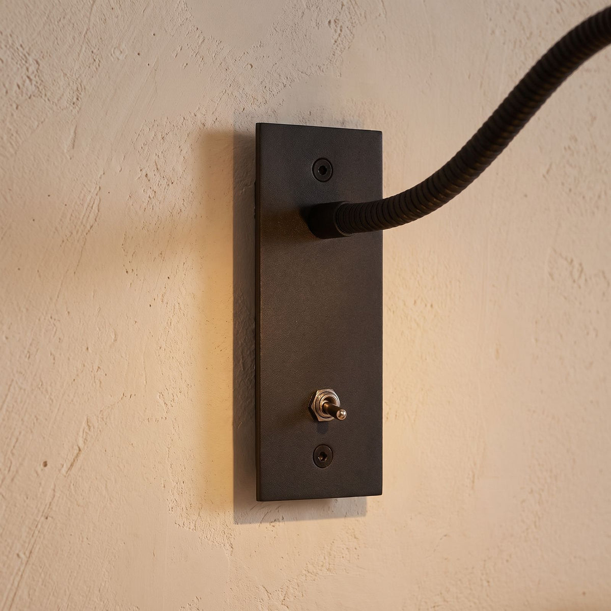 Close-up of the wall plate, switch and gooseneck arm