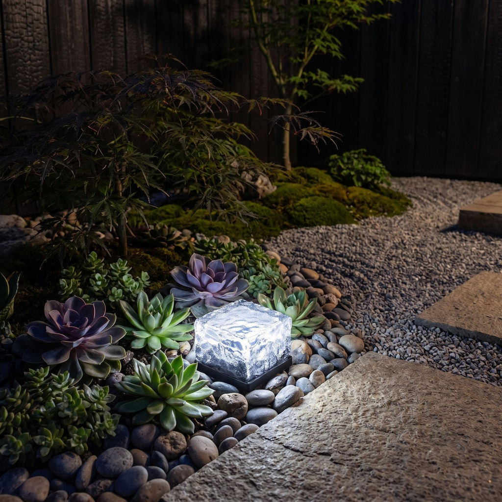 Ice Cube Tempered Glass Solar Path Light among succulents at night
