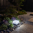 Ice Cube Tempered Glass Solar Path Light among succulents at night
