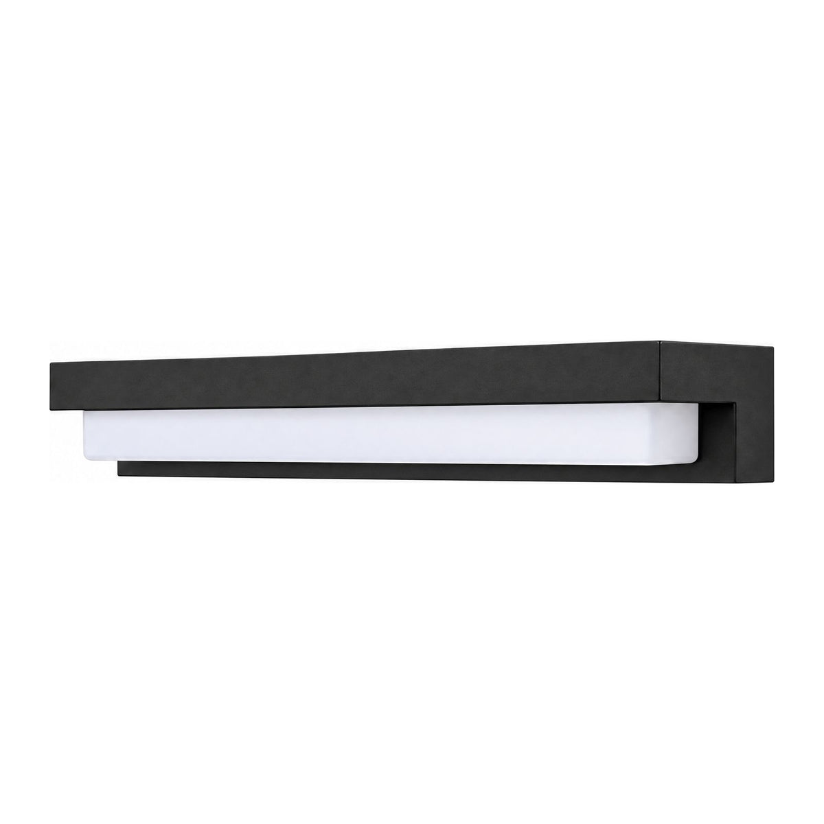 Linear Acrylic Outdoor Wall Light on a white background
