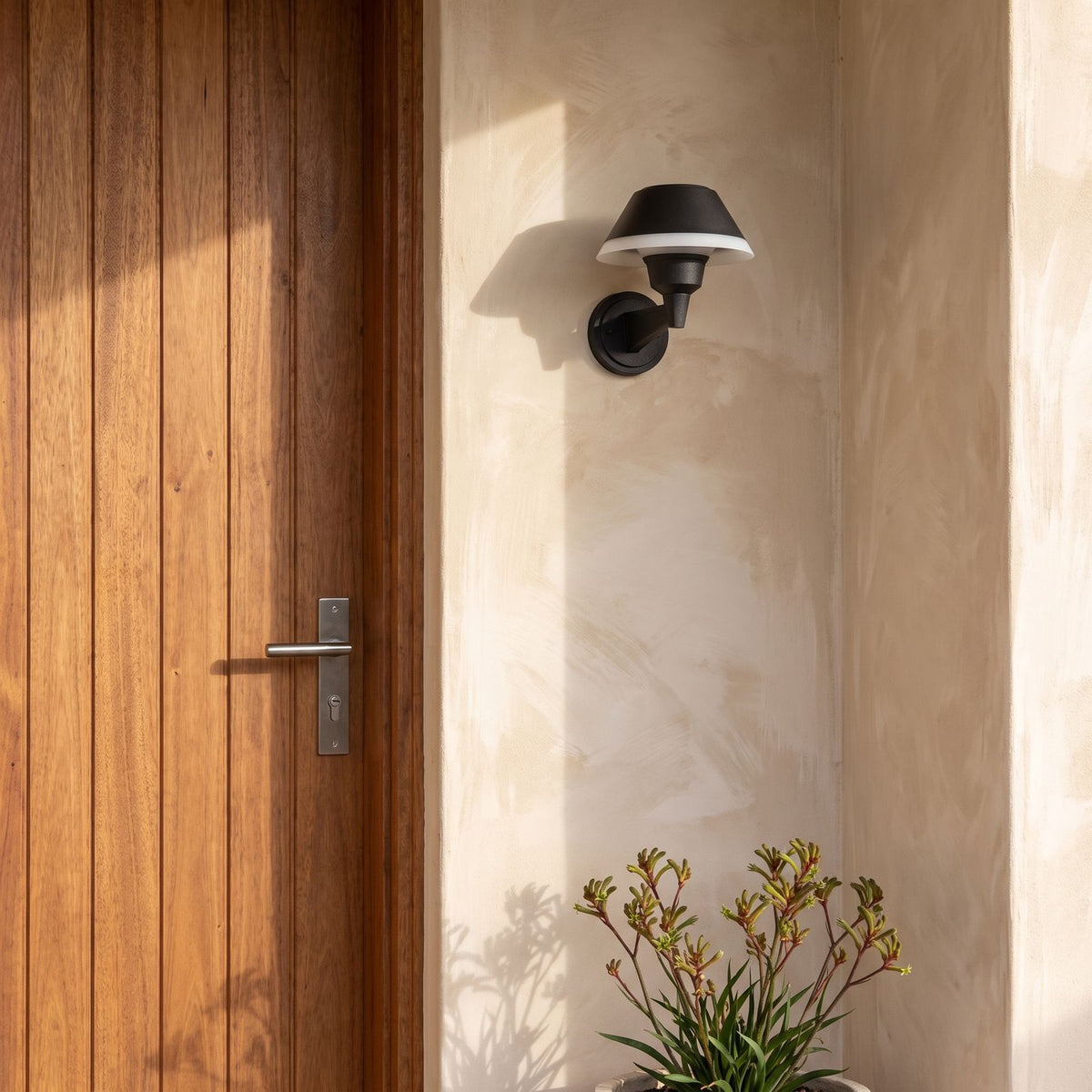 Matte Black Bowl Outdoor Wall Light beside a timber front door