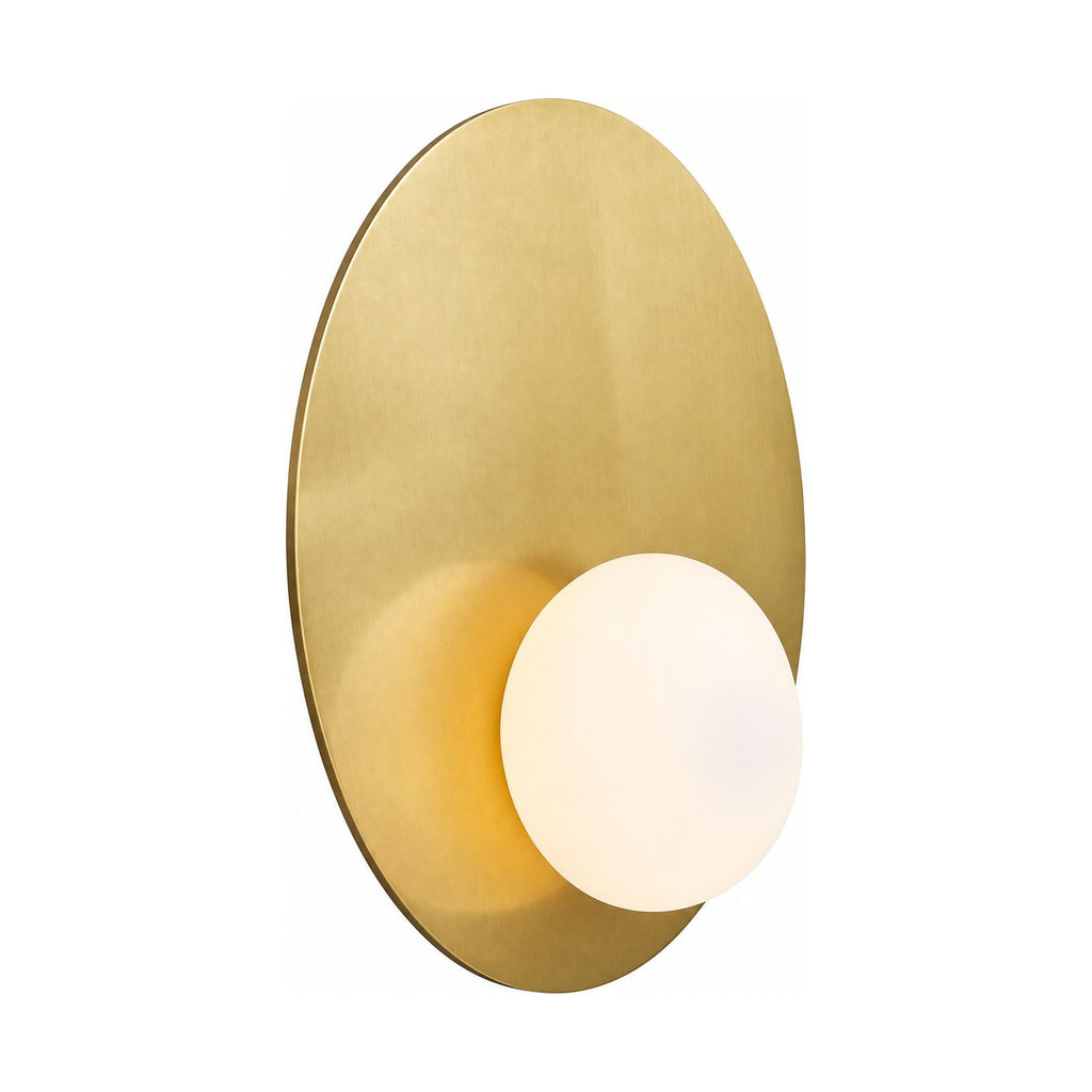 Metal Disc and Opal Glass Wall and Ceiling Light on a white background