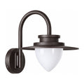 Pine Cone Glass Gooseneck Outdoor Wall Light on a white background