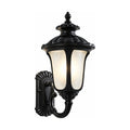 Retro Black Frosted Glass Outdoor Wall Light on a white background