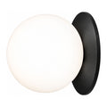 Round Glass Wall Sconce with Metal Backplate on a white background