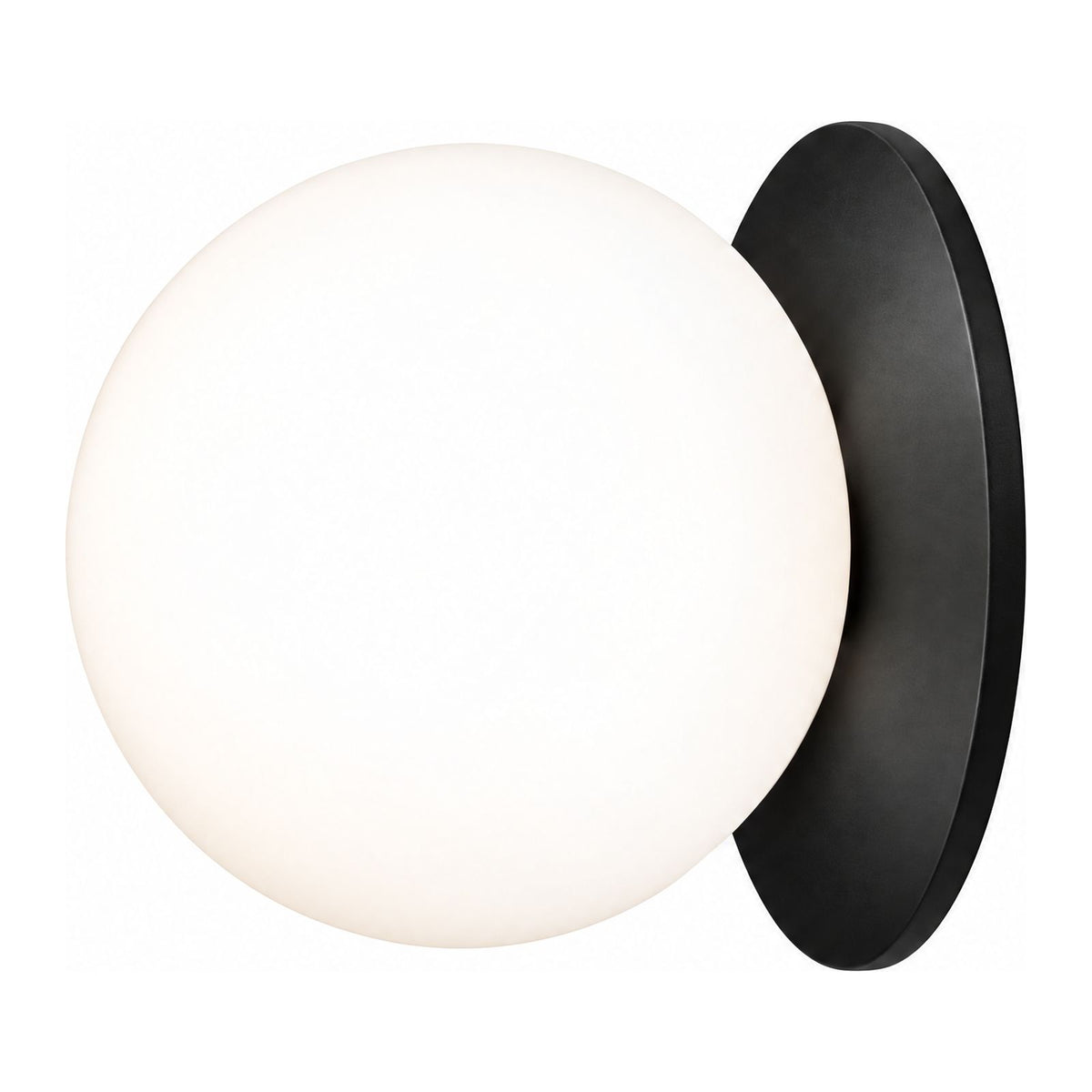 Round Glass Wall Sconce with Metal Backplate on a white background
