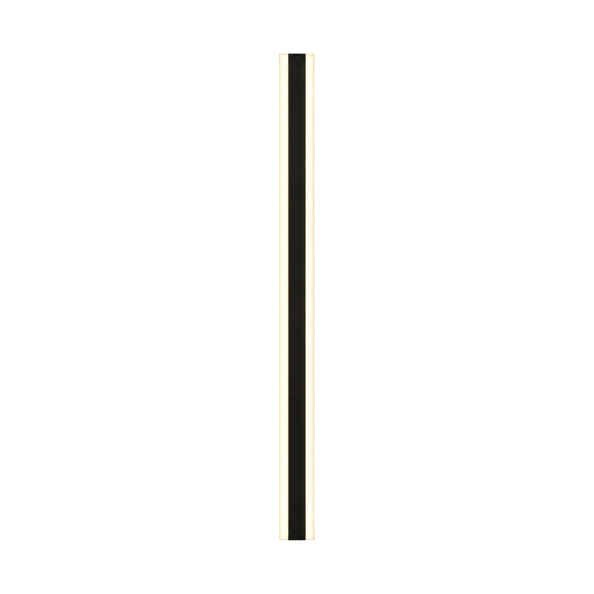 Slim Linear Metal Outdoor Wall Light on a white background