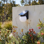 Spherical Solar Outdoor Wall Light beside a timber front door