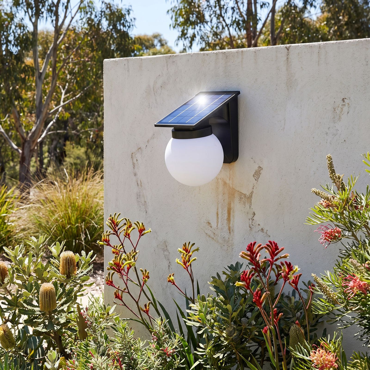 Spherical Solar Outdoor Wall Light beside a timber front door