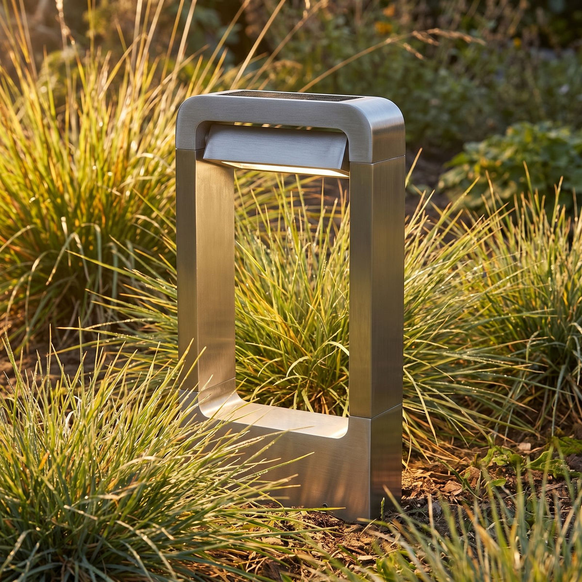 Stainless Steel Solar Floor Light, close view among low plants