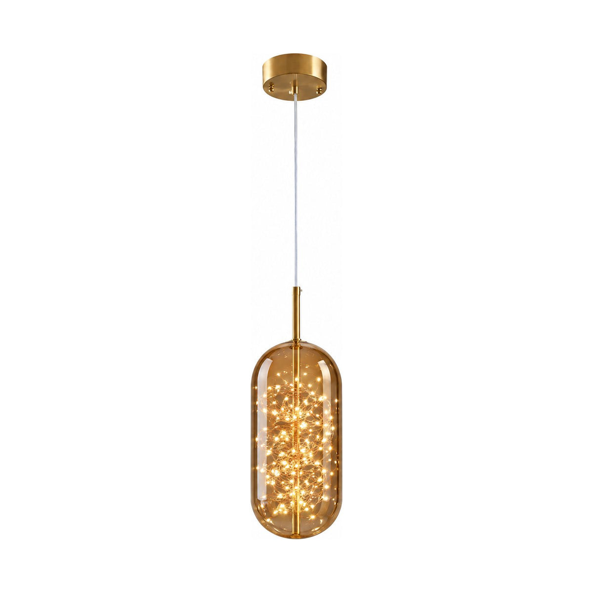Tinted Glass Capsule and Globe Pendant Light in the capsule shape on a white background